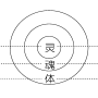 msg6illustration.png